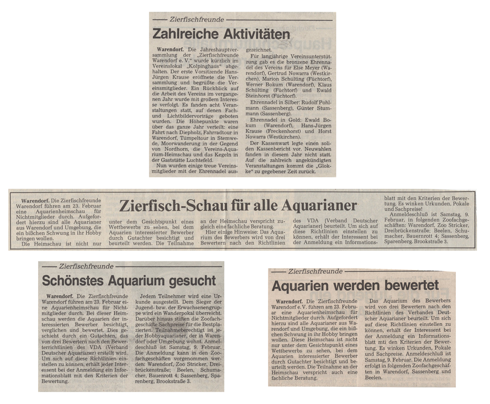 Zeitungsartikel mit Jahresrückblick auf 1990 und über die Heimschau 1991