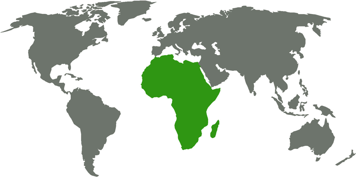 Weltkarte Afrika