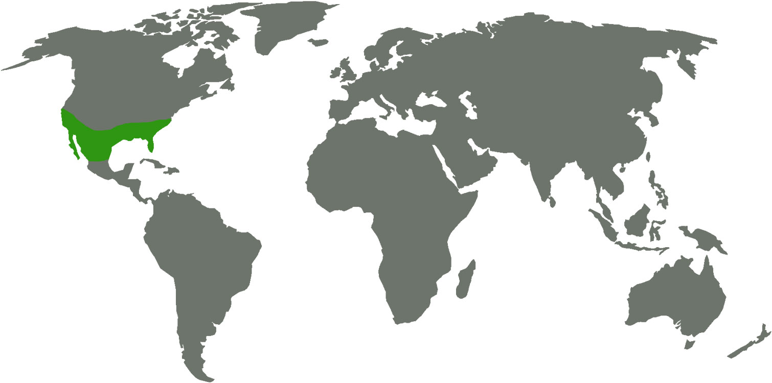 Weltkarte Nordamerika