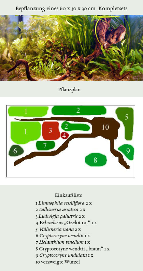 Bild eines Aquariums und der Pflanzplan mit Einkaufsliste