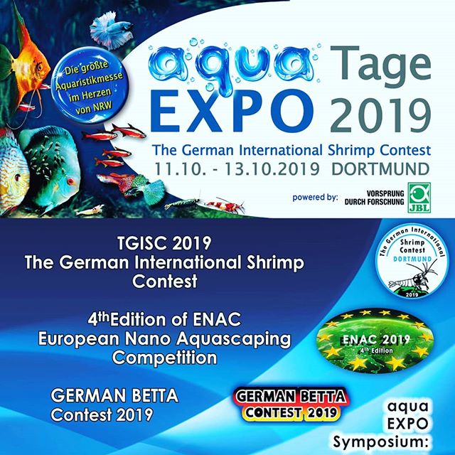 Poster Aqua Expo-Tage