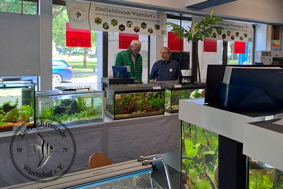 Blick in die Ausstellung