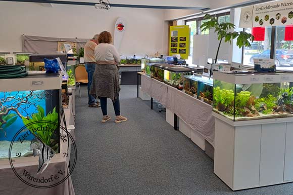 Blick in die Ausstellung
